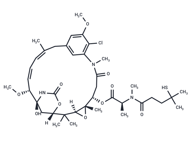 化合物 Maytansinoid DM4|T13766|TargetMol