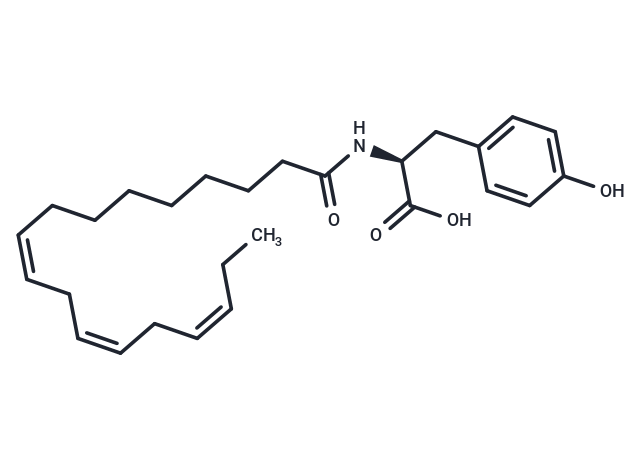 N-(α-Linolenoyl) Tyrosine|T38222|TargetMol