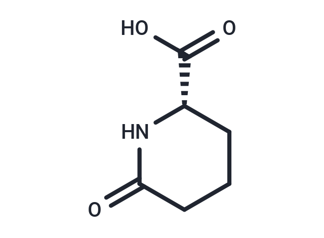 L-Pyrohomoglutamic Acid|T36110|TargetMol