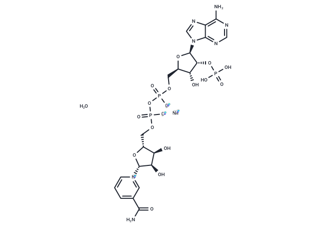 NADP+ (sodium salt hydrate)|T36066|TargetMol