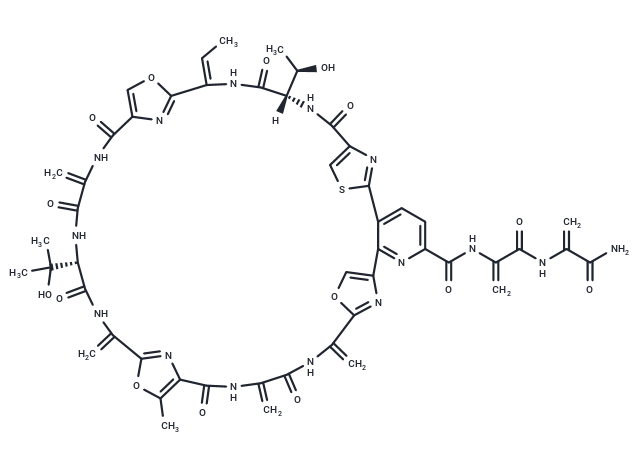 Geninthiocin A|T38150|TargetMol