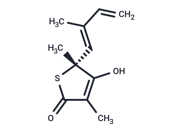 化合物 Thiolactomycin|T28964|TargetMol