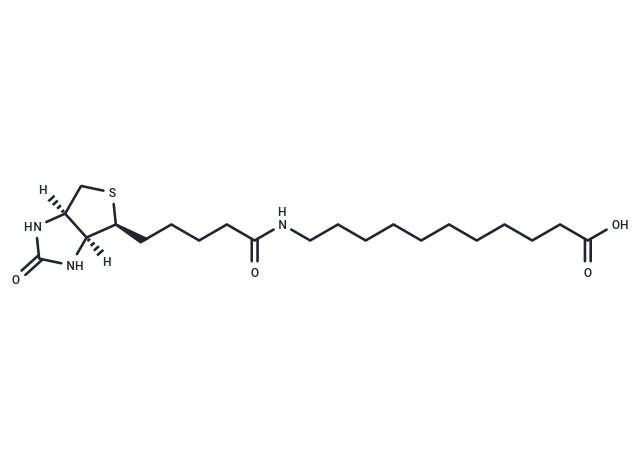 化合物 (+)-Biotin-SLC|T18551|TargetMol