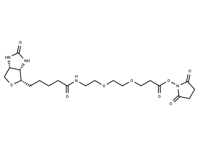 化合物 Biotin-PEG2-NHS ester|T14588|TargetMol