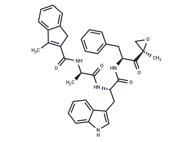 化合物 PR-924|T16568|TargetMol