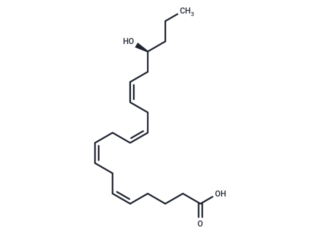 17(S)-HETE|T35849|TargetMol