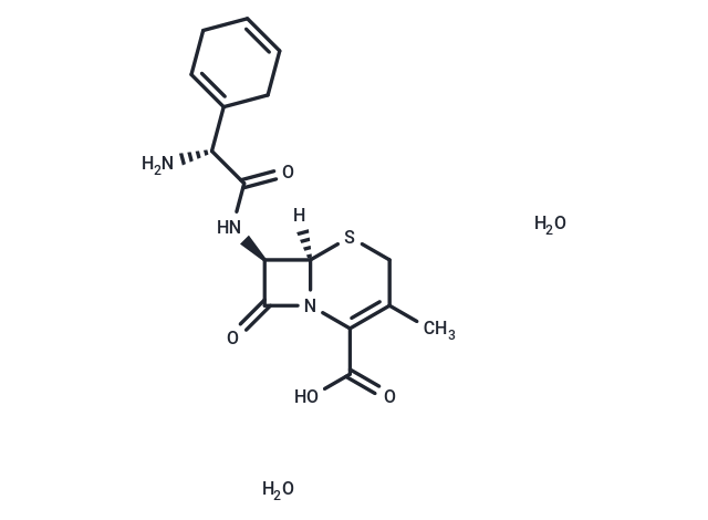 化合物 Cephradine dihydrate|T69454|TargetMol