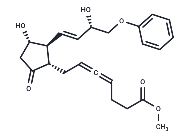 化合物 Enprostil|T25375|TargetMol