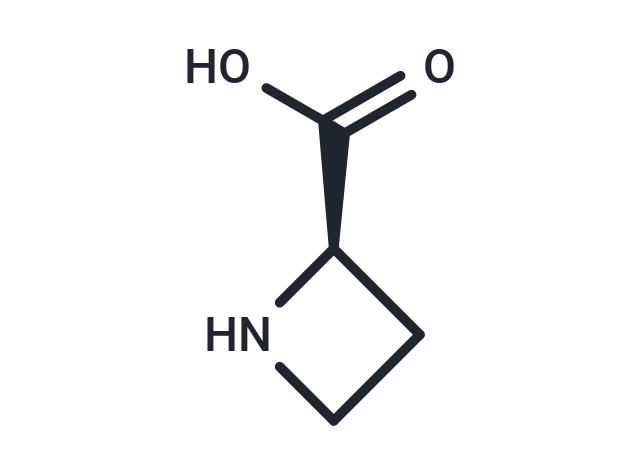 化合物 (R)-Azetidine-2-carboxylic acid|T66331|TargetMol