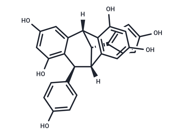 化合物 Ampelopsin F|TN6474|TargetMol