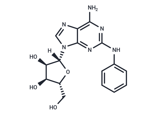 化合物 CV1808|T19696|TargetMol