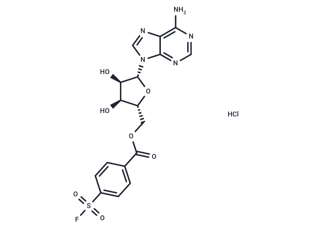 化合物 FSBA|T27391|TargetMol