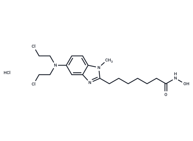 化合物 Tinostamustine HCl|T70190|TargetMol