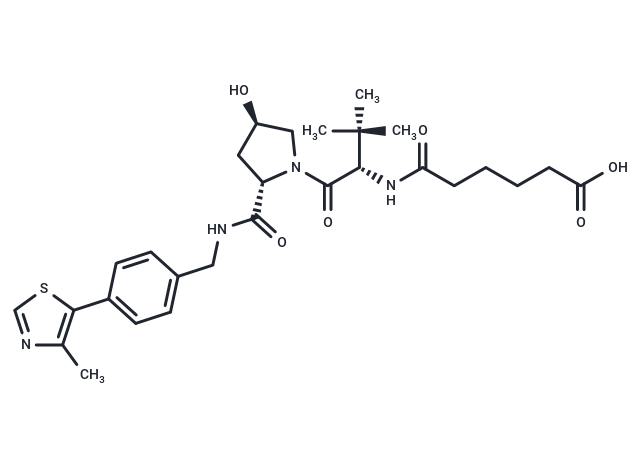 VH 032 amide-alkylC4-acid|T36280|TargetMol