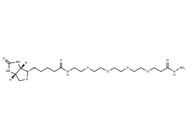 化合物 Biotin-PEG4-hydrazide|T17585|TargetMol