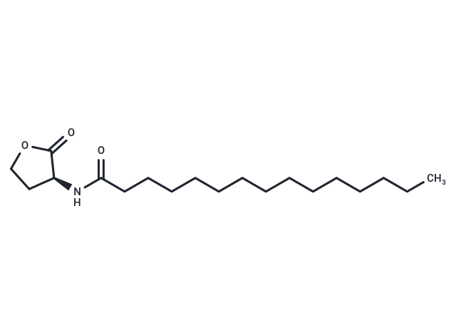 N-pentadecanoyl-L-Homoserine lactone|T37745|TargetMol