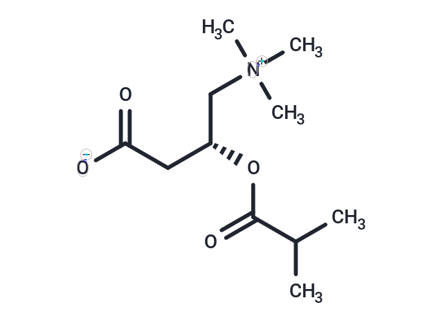 化合物 Isobutyryl-L-carnitine|T19381|TargetMol