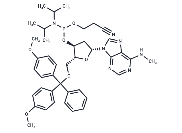 N6-Methyl-dA phosphoramidite|T38454|TargetMol