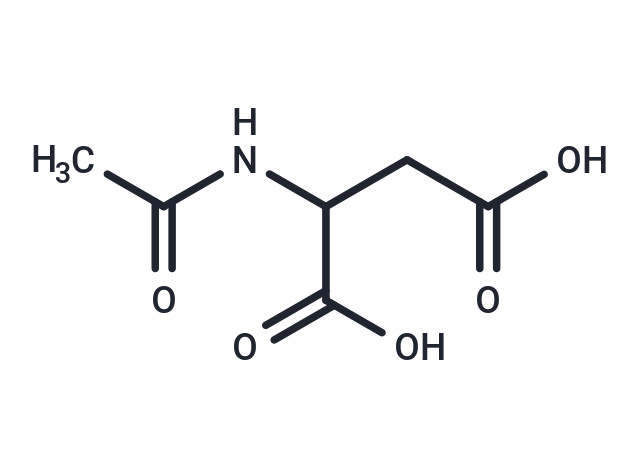 化合物 2-Acetamidosuccinic acid|T64968|TargetMol