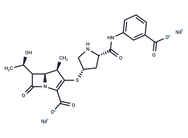 化合物 Ertapenem (sodium salt)|T4991L|TargetMol