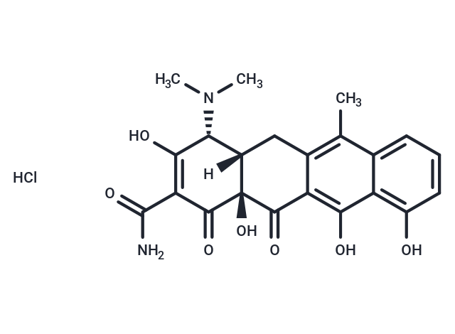 Epianhydrotetracycline (hydrochloride)|T36599|TargetMol