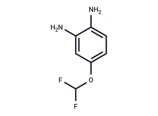 化合物 4-(Difluoromethoxy)benzene-1,2-diamine|T66603|TargetMol