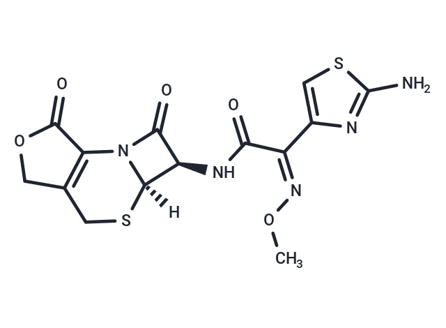 化合物 3-Desacetyl Cefotaxime lactone|T14030|TargetMol