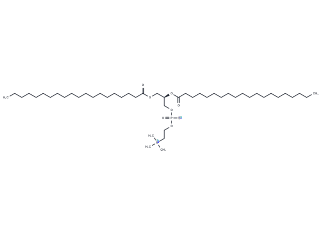 化合物 1,2-Diarachidoyl-sn-glycero-3-PC|T67070|TargetMol