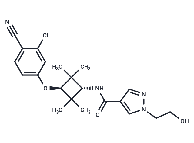 化合物 Androgen receptor antagonist 1|T10320|TargetMol