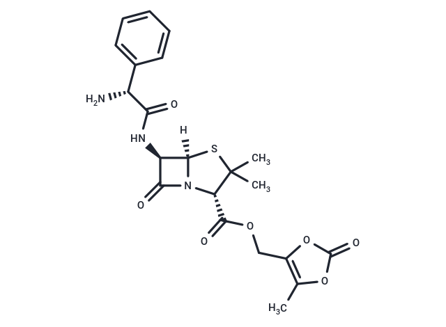 化合物 Lenampicillin|T25659|TargetMol