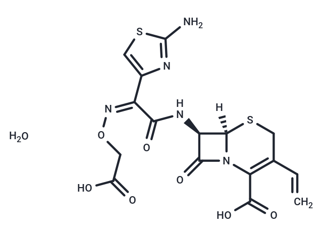 Cefixime trihydrate|T38643|TargetMol