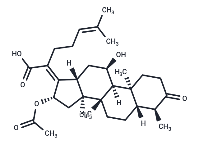 3-keto Fusidic Acid|T35660|TargetMol