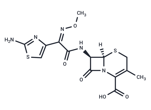 化合物 Cefetamet|T75274|TargetMol