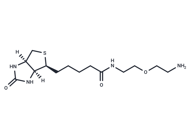 Biotin-PEG1-NH2|T40914|TargetMol