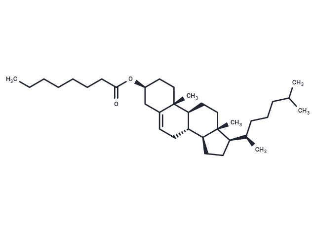 化合物 Cholesterol n-Octanoate|T65073|TargetMol