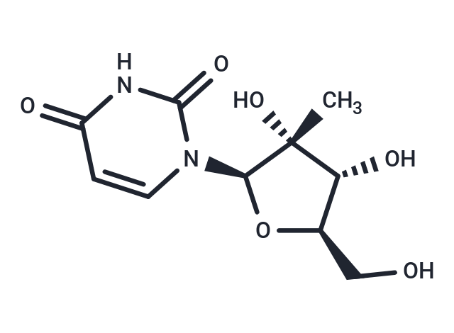 化合物 2’-C-Methyl uridine|TNU0092|TargetMol