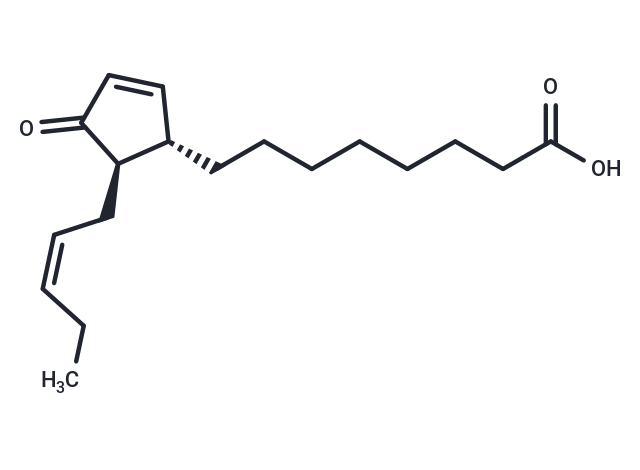 13-epi-12-oxo Phytodienoic Acid|T37396|TargetMol