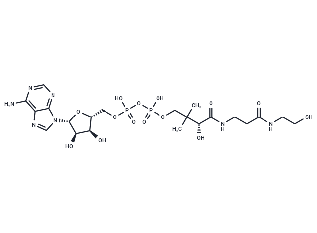 3'-Dephosphocoenzyme A|T35659|TargetMol