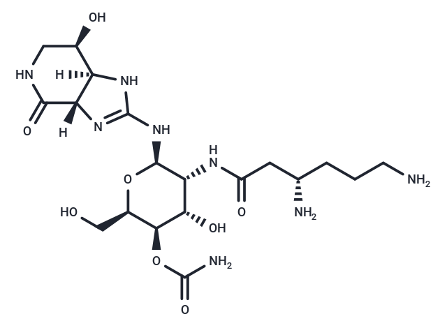 化合物 Streptothricin F|T34723|TargetMol