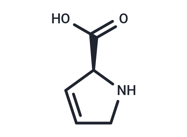 化合物 3,4-Dehydro-L-proline|T66029|TargetMol