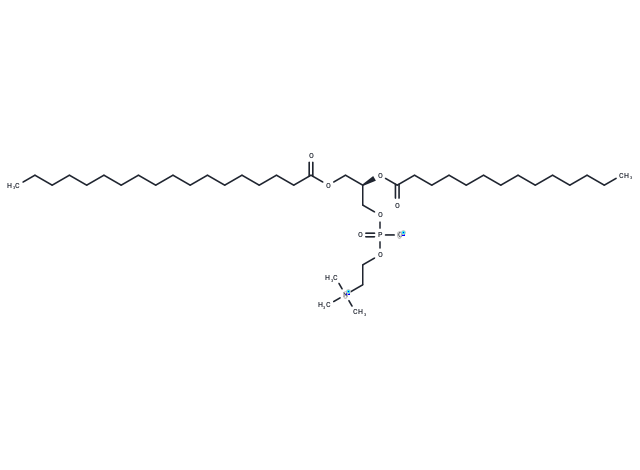 化合物 1-Stearoyl-2-myristoyl-sn-glycero-3-PC|T64546|TargetMol