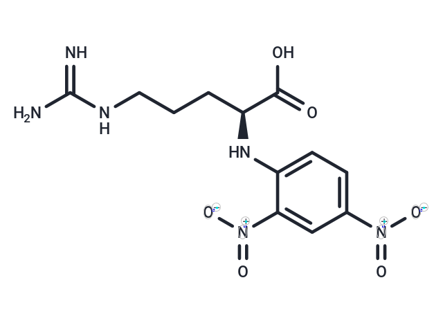 化合物 (2,4-Dinitrophenyl)-L-arginine|T64447|TargetMol