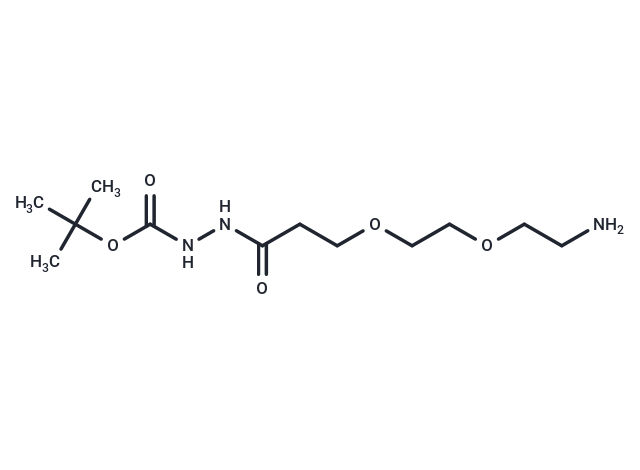 化合物 Amino-PEG2-C2-hydrazide-Boc|T14229|TargetMol