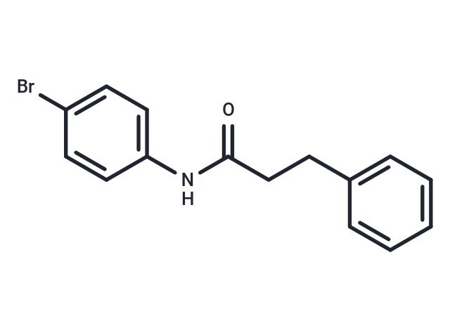 化合物 N-(4-Bromophenyl)-3-phenylpropanamide|T66759|TargetMol