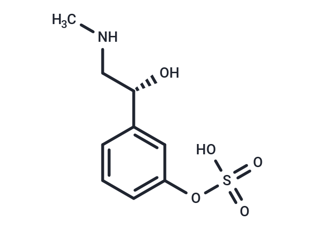 Phenylephrine-3-O-Sulfate|T35576|TargetMol