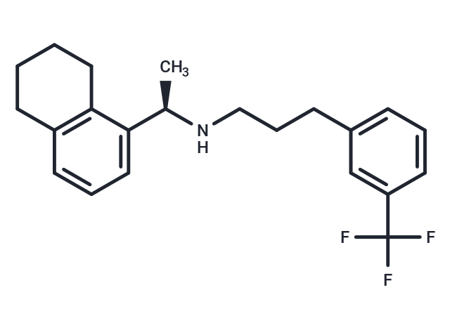 化合物 (R)-N-[1-(5,6,7,8-Tetrahydronaphthalen-1-yl)ethyl]-3-[3-(trifluoromethyl)phenyl]-1-propylamine|T66787|TargetMol