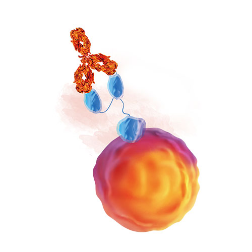 重组人CD109蛋白-ACROBiosystems百普赛斯