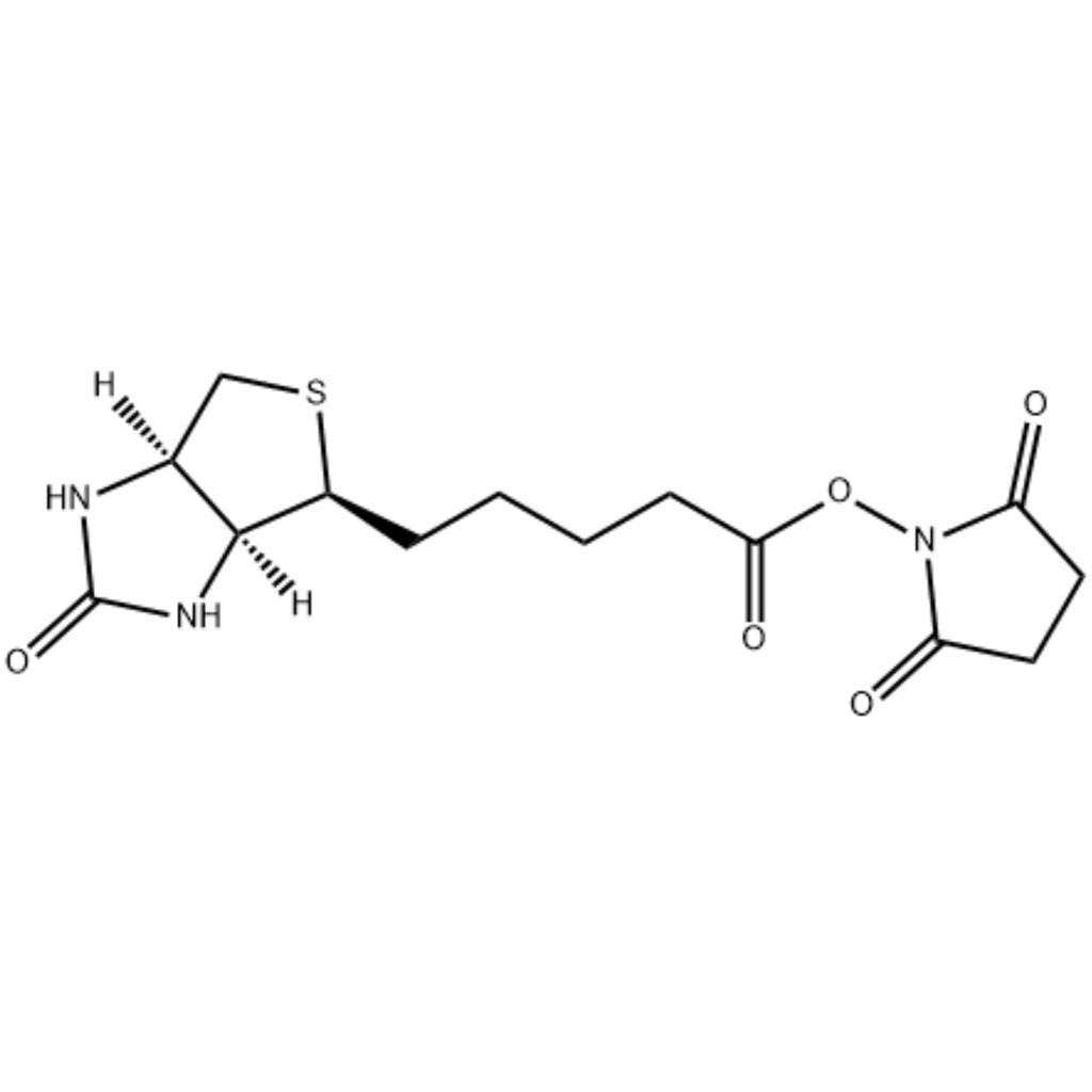 (+)生物素-N-琥珀酰亚胺基酯,35013-72-0