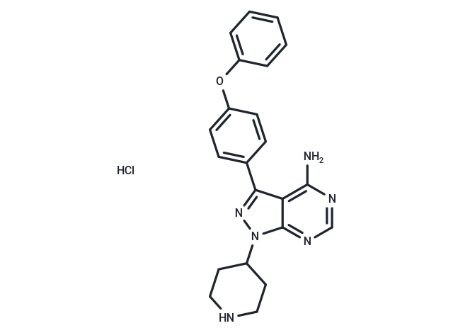 N-piperidine Ibrutinib 盐酸盐|T12152|TargetMol