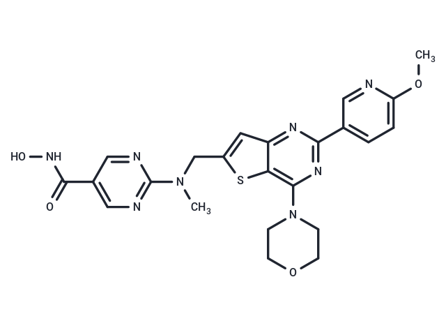 化合物 CUDC-907|T2078|TargetMol